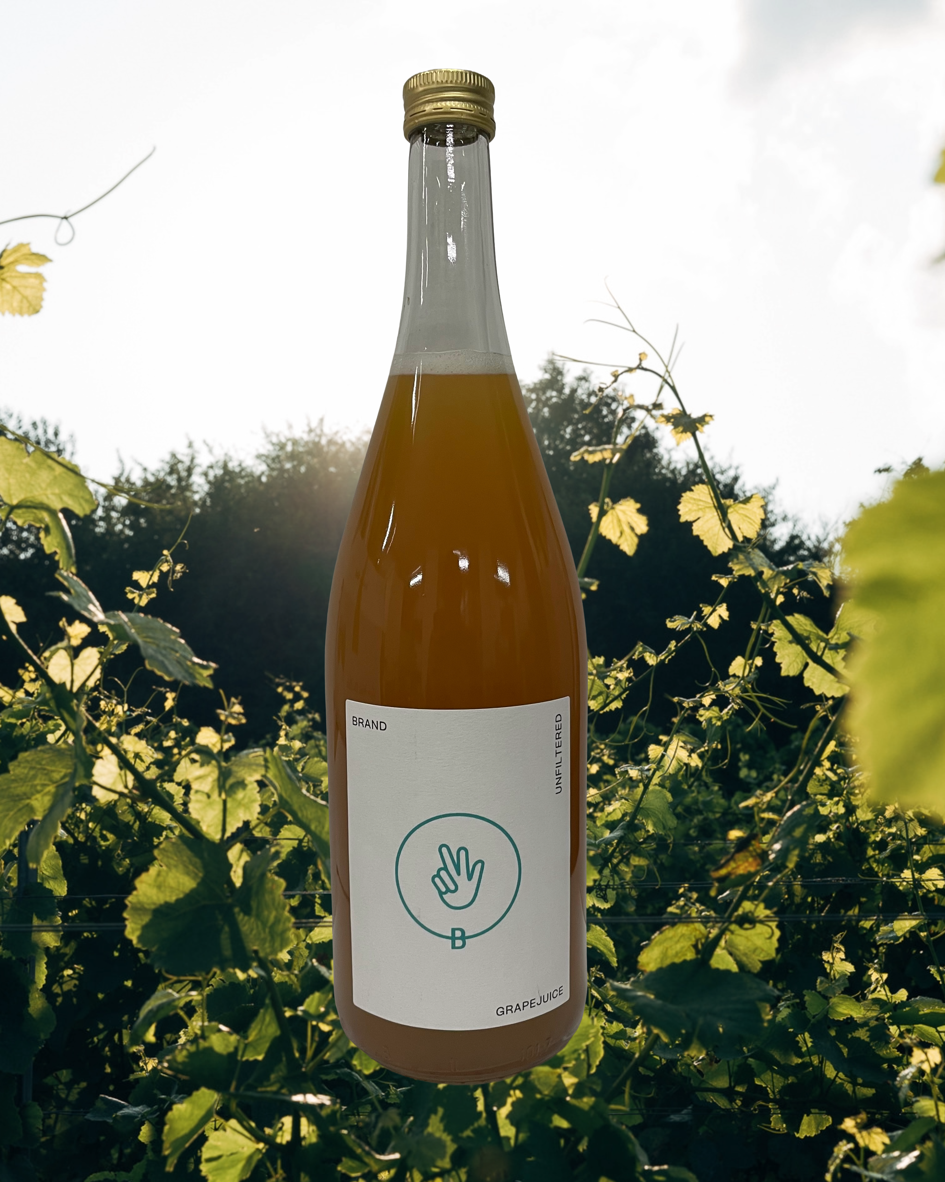 Traubensaft weiß Flaschenfoto