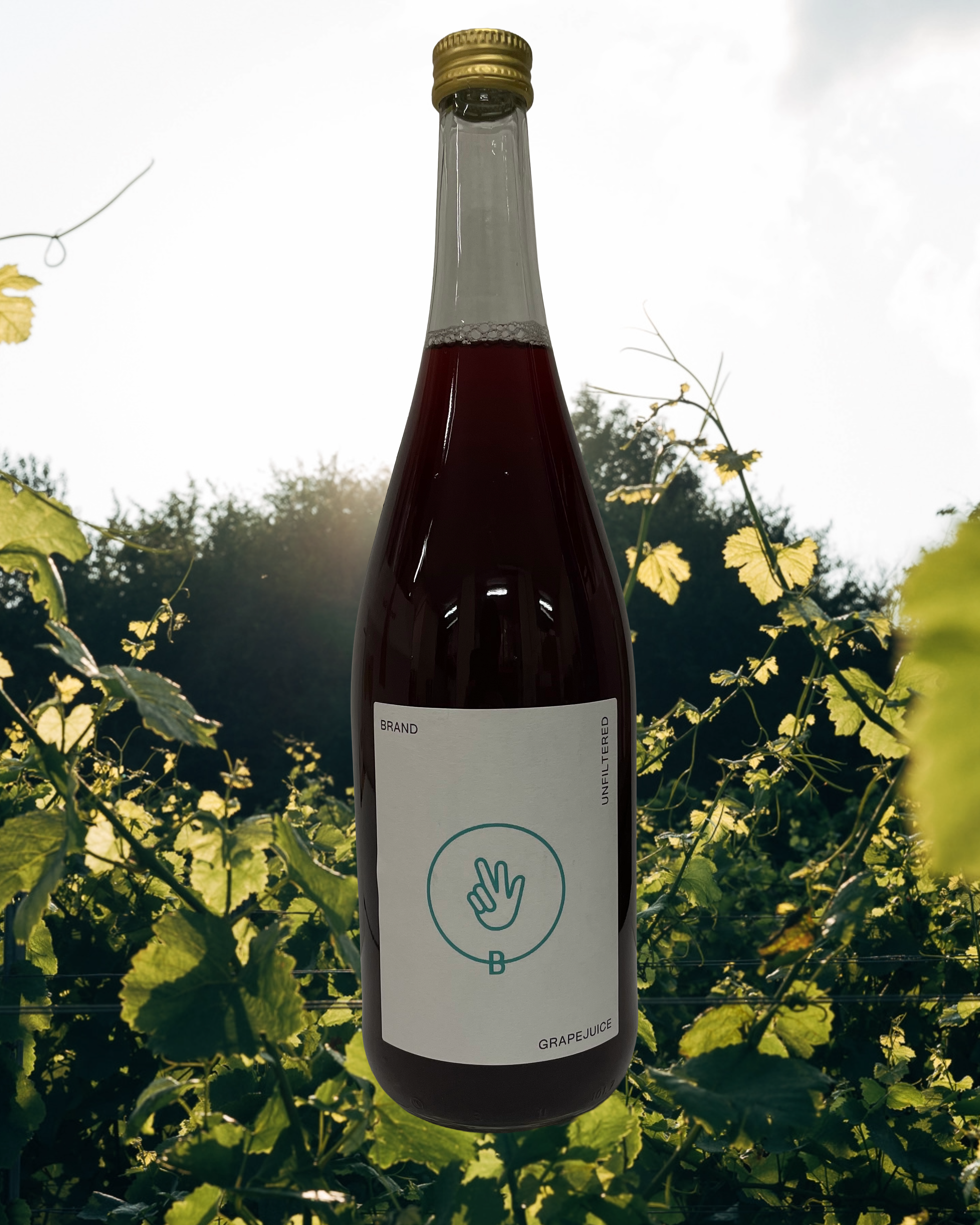 Traubensaft rot Flaschenfoto